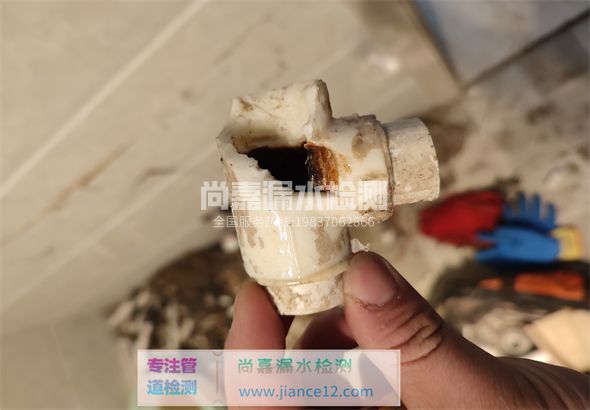 蒙山引起漏水的原因有哪些？